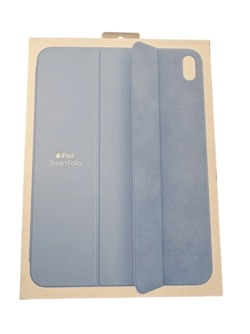 Apple Smart Folio for iPad (10th Generation) in Sky